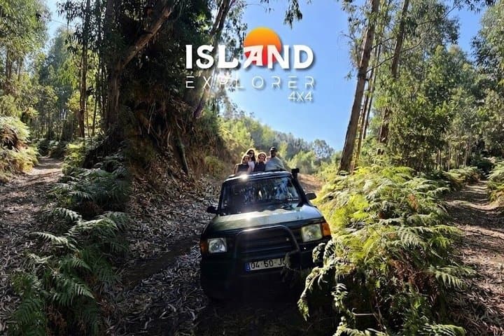 Full Day Madeira Island Tour - Open Roof
