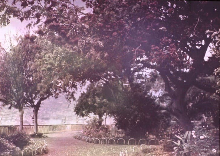 Ein Teil des Gartens von Reid's Hotel, um 1910