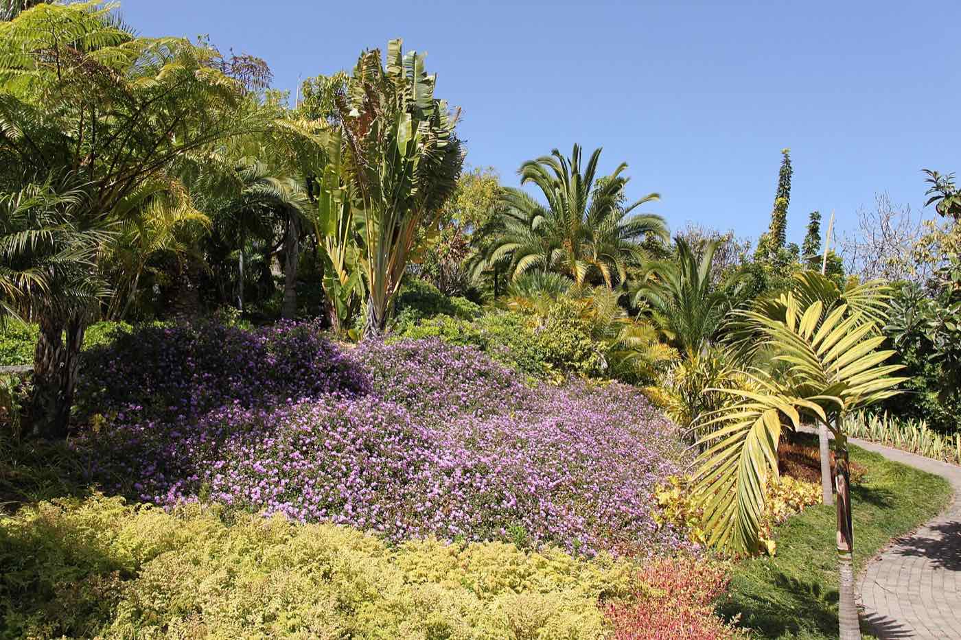 Jardim de São Martinho