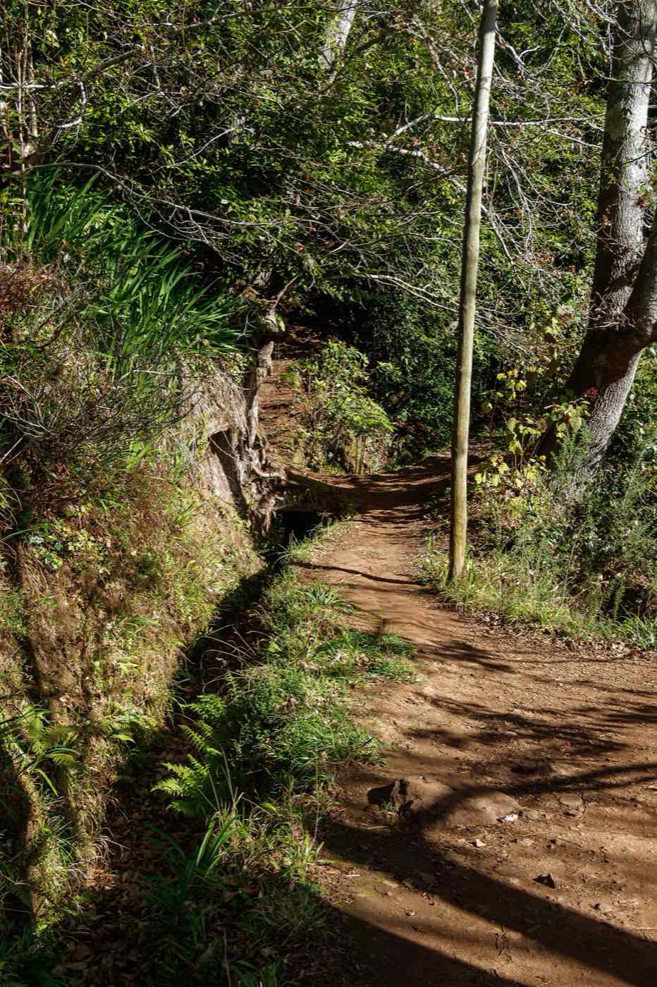 Levada da Serra do Faial (Camacha)