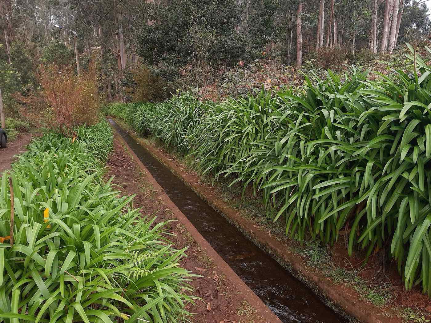 PR18 Levada do Rei