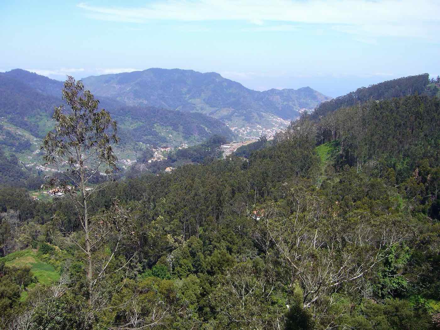 Quinta do Santo da Serra (Quinta da Junta)